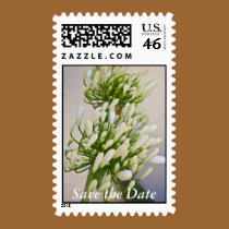 White Chrysanthemum Buds stamps