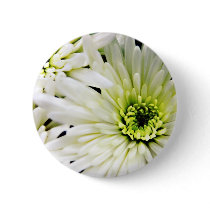 White Chrysanthemum button pin buttons