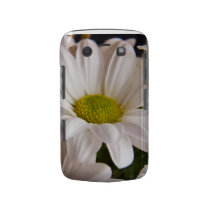 White Chrysanthemum flower Blackberry Bold Case casemate cases