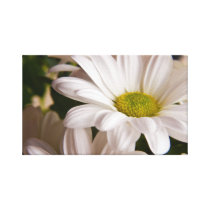 White Chrysanthemum flower Canvas Print canvas prints