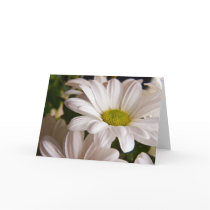 White Chrysanthemum flower greetings card