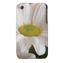 White Chrysanthemum flower Iphone 3G 3GS Case casemate cases