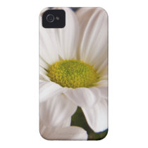 White Chrysanthemum flower Iphone 4 4S Case casemate cases