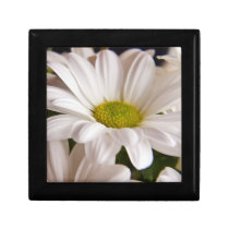 White Chrysanthemum flower keepsake gift box gift boxes