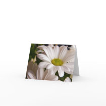 White Chrysanthemum flower note card