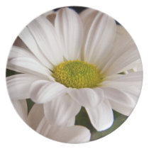 White Chrysanthemum flower plate plates