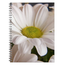 White Chrysanthemum flower spiral notebook notebooks