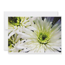 White Chrysanthemum invitations invitations