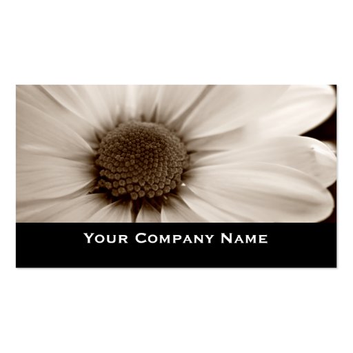 White Chrysanthemum sepia flower Business Cards