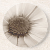White Chrysanthemum sepia flower coaster coasters