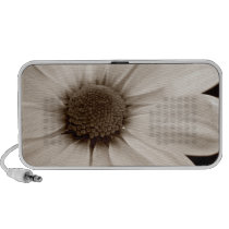 White Chrysanthemum sepia flower Doodle speaker