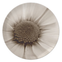 White Chrysanthemum sepia flower plate plates