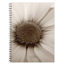 White Chrysanthemum sepia flower spiral notebook notebooks