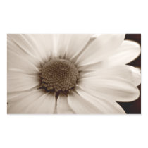 White Chrysanthemum sepia flower stickers stickers