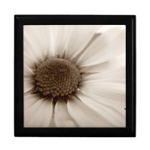 White Chrysanthemum sepia flower wooden gift box gift boxes