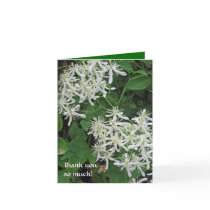 White clematis and bee Thank you note Greeting Card