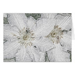 White clematis note card