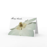 white clemetis thank you card