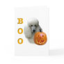 White Coated Poodle Boo Greeting Cards