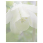 White Columbine Flower  - Aquilegia Customized Letterhead