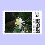 White columbine stamp stamps