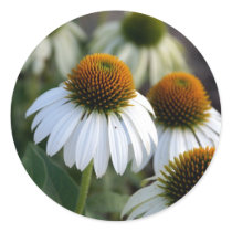 White Cone Flower stickers