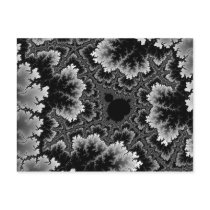White Coral Postcard by JamesOakley White Coral Postcard