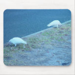 White Corellas On Roadside Mouse Pad