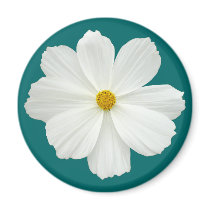 White Cosmos Flower magnets by artberry White Cosmos Flower magnets