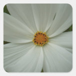 White Cosmos Sticker