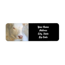 White Cow Address labels