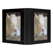 White Cow binder