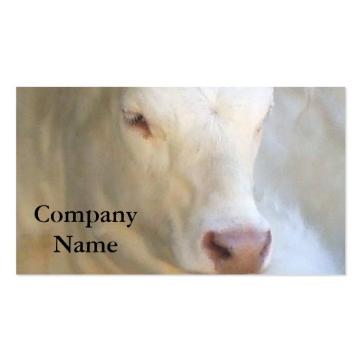 White Cow Business Cards (front side)