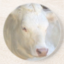 White Cow coaster