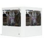 White Cow Head Shot at County Fair Vinyl Binder