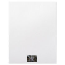 White Cow Head Shot at County Fair Letterhead
