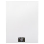 White Cow Head Shot at County Fair Letterhead