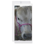 White Cow Head Shot at County Fair rack cards