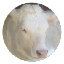 White Cow Plates