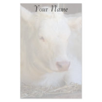 White Cow Stationery Paper