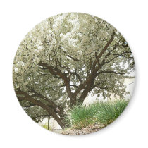 White Crab Tree magnets