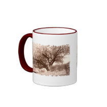 White Crabapple in Sepia mugs