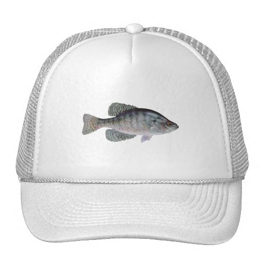 White Crappie Mesh Hat