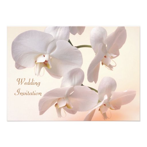 White - cream orchids Wedding Invitation