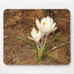 White Crocus “EarthDayContest2007” mousepad