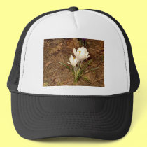 White Crocus hats
