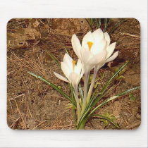 White Crocus mousepads