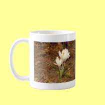 White Crocus mugs