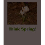 White Crocus, Think Spring! “EarthDayContest2007” t-shirts