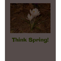 White Crocus, Think Spring! “EarthDayContest2007” t-shirts